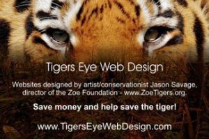 Tigers Eye Advertisement Photo