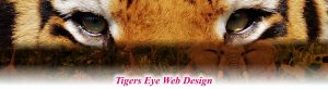 Tigers Eye Web Design Raleigh NC 27603